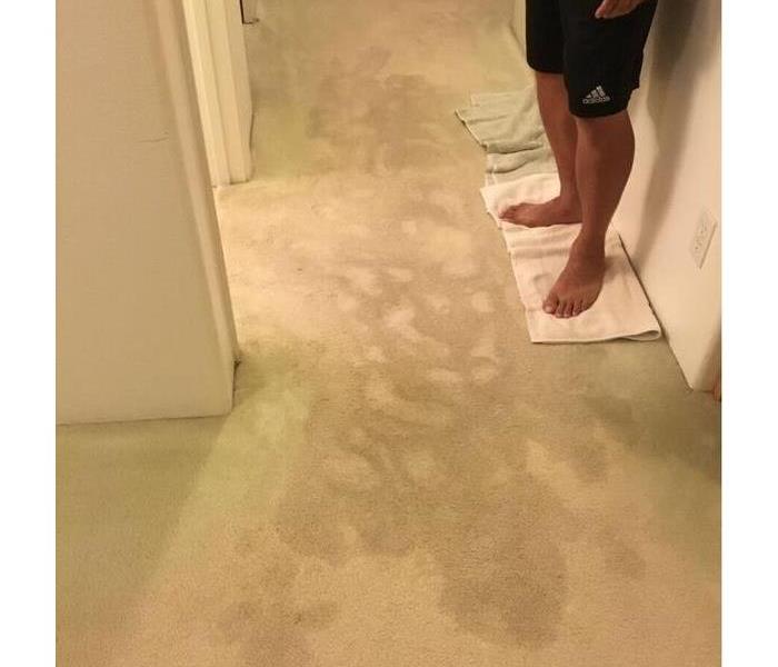 hallway with saturated carpet foot prints are visible due top the level of water in carpet