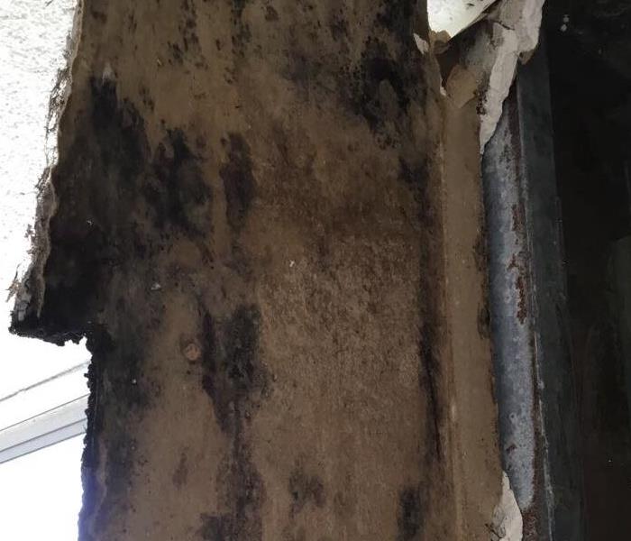 Mold on the inside of a wall