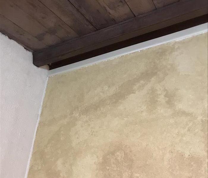 dark water spots on wall 